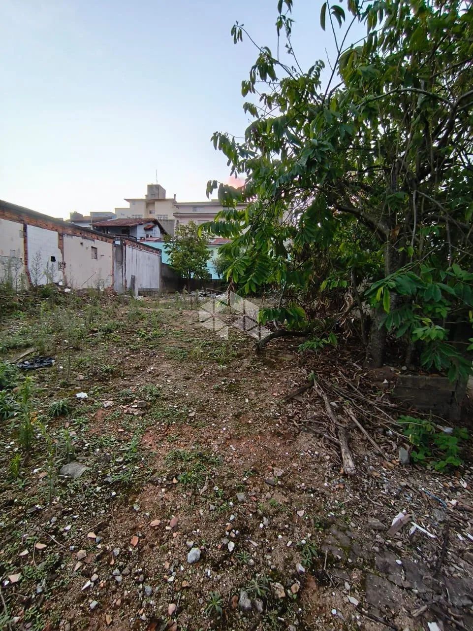 Terreno à Venda no Bairro Canto - Florianópolis/SC - Foto 5