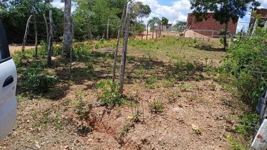 Foto - Coração de Maria - 