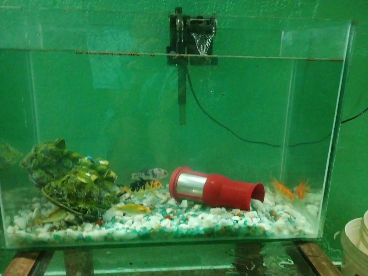 Aquário e tudo que esta visivel na foto( chama pv pra mais detalhes , faço negocio minimo. - Foto 2