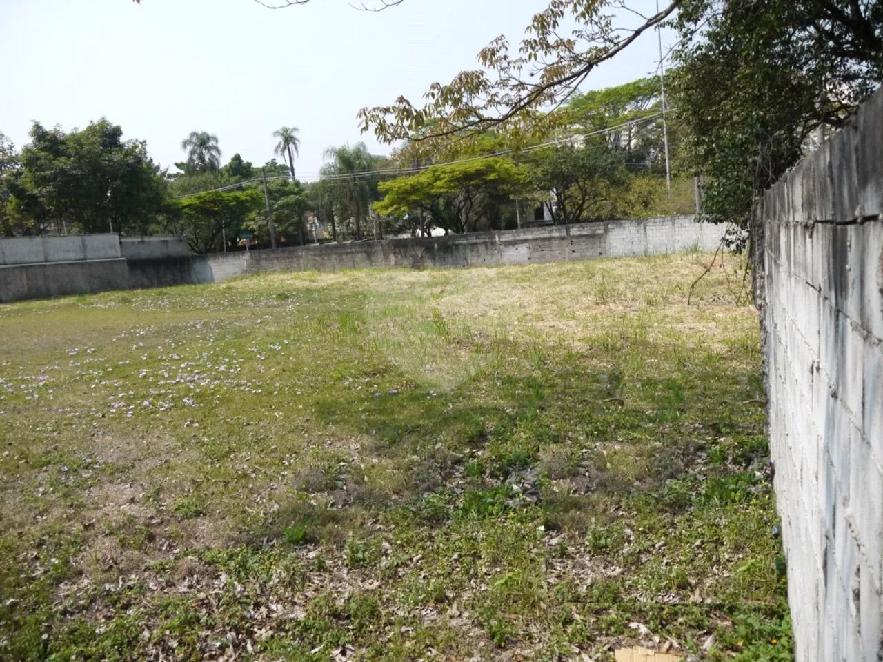 Terreno à venda em Cidade jardim - SP - Foto 4