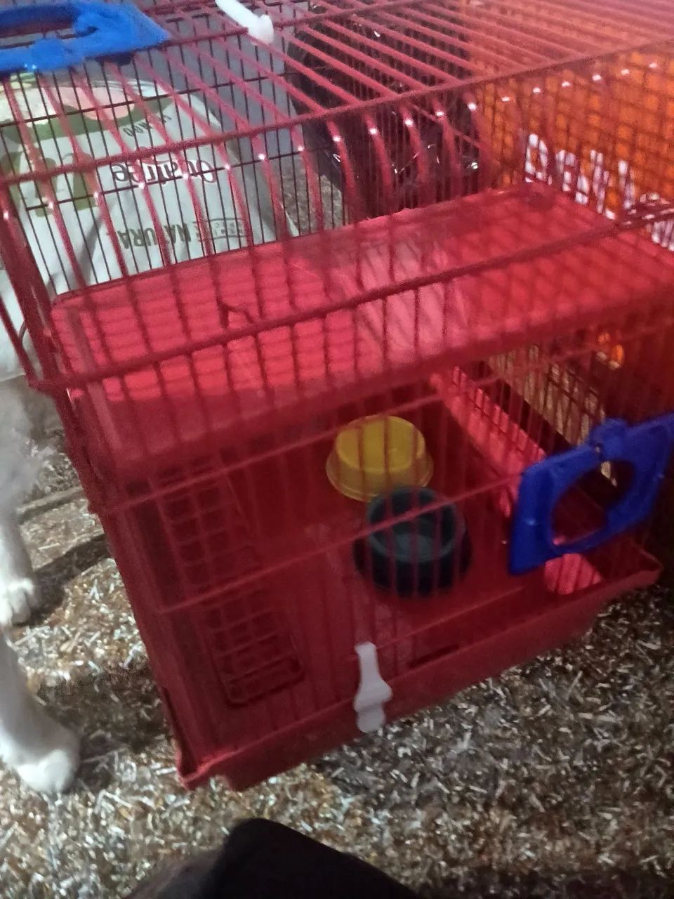 Gaiola para roedores  - Foto 3