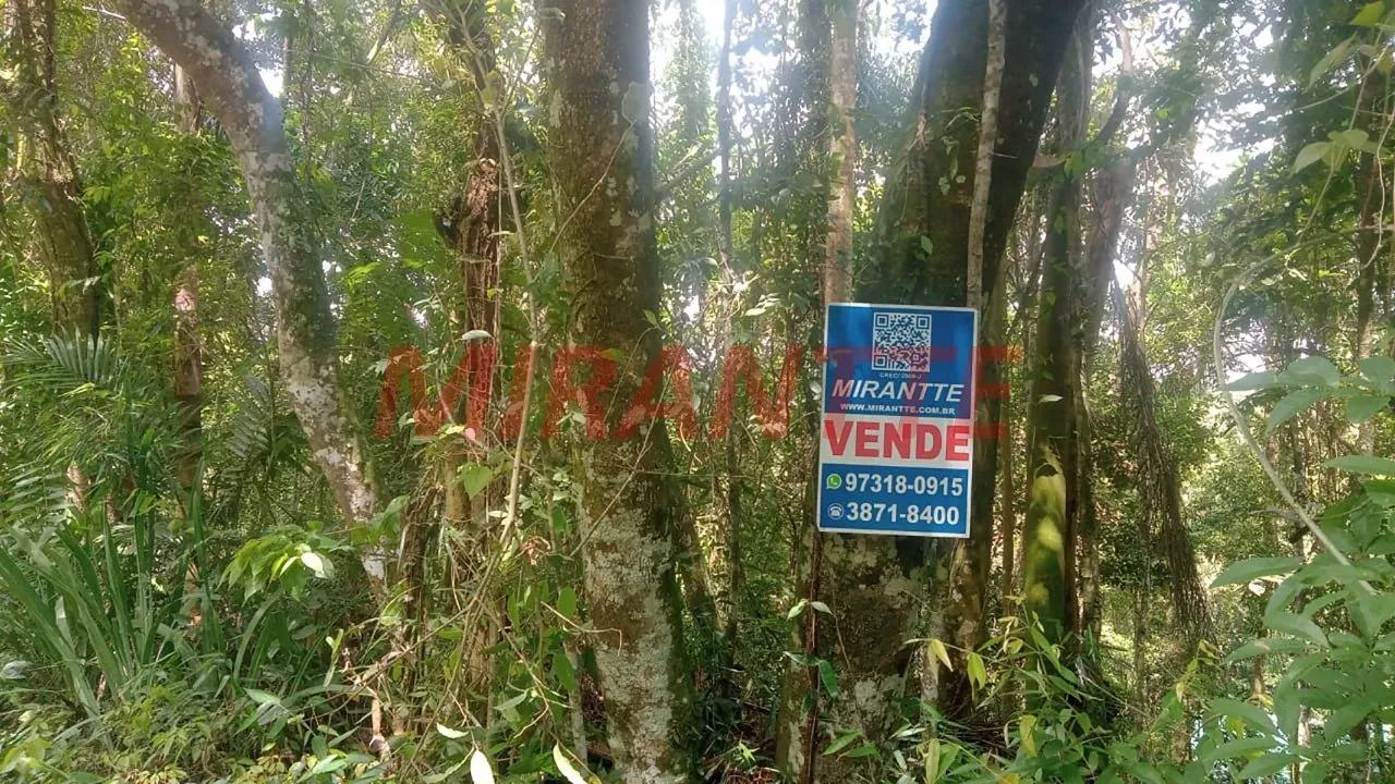 Terreno em Boa Vista - Foto 2
