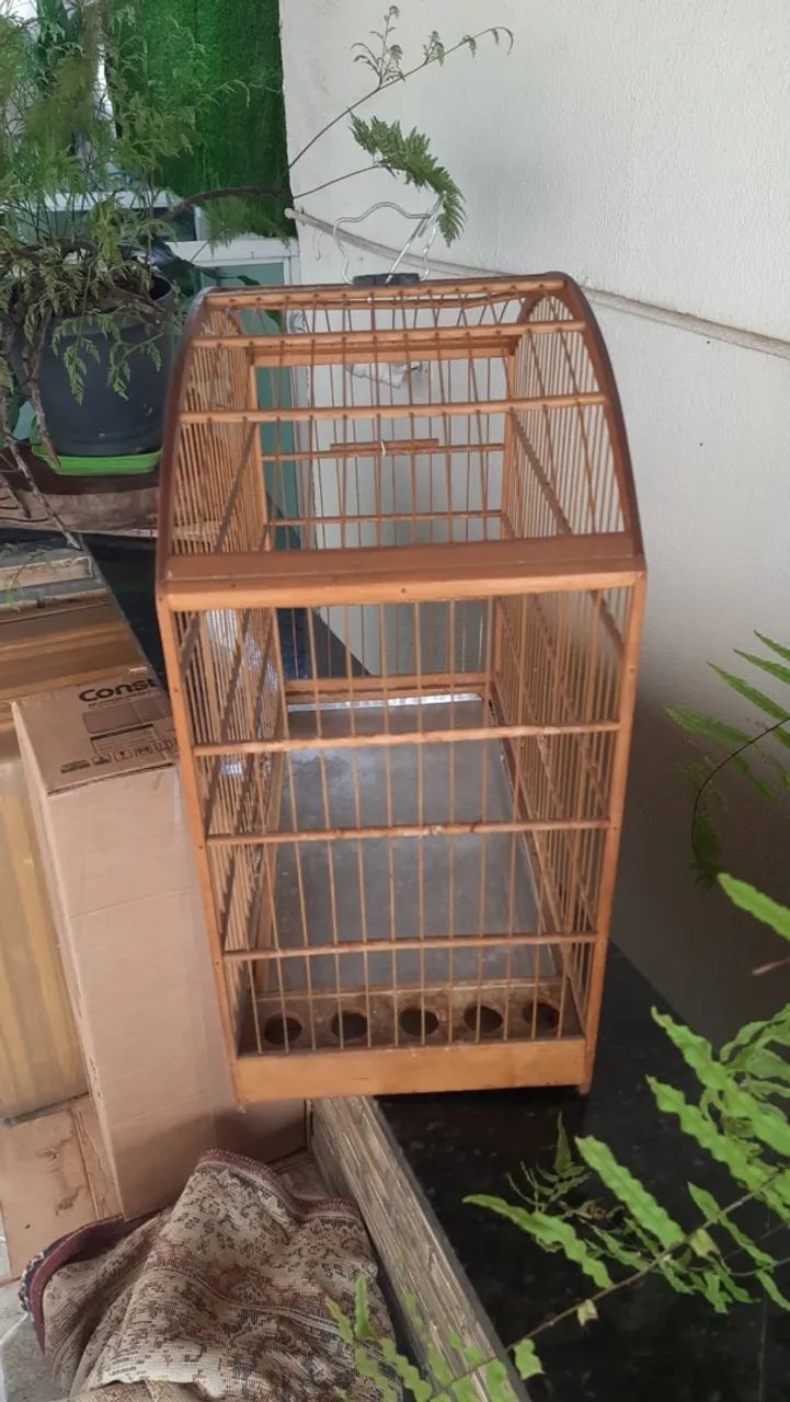 Gaiola - Foto 2