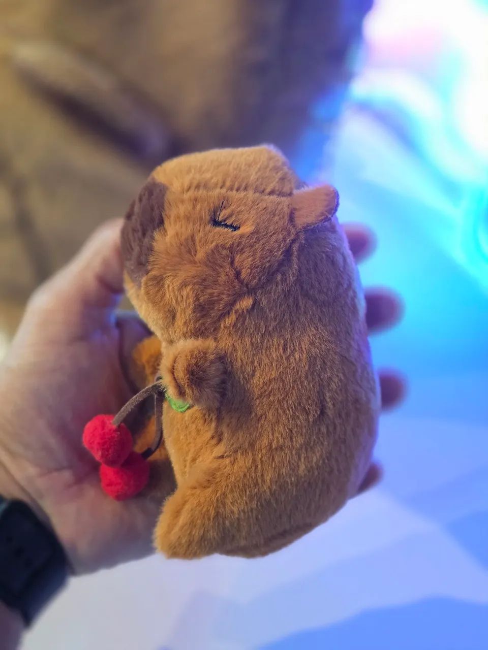 Capivara Combo presente  - Foto 2