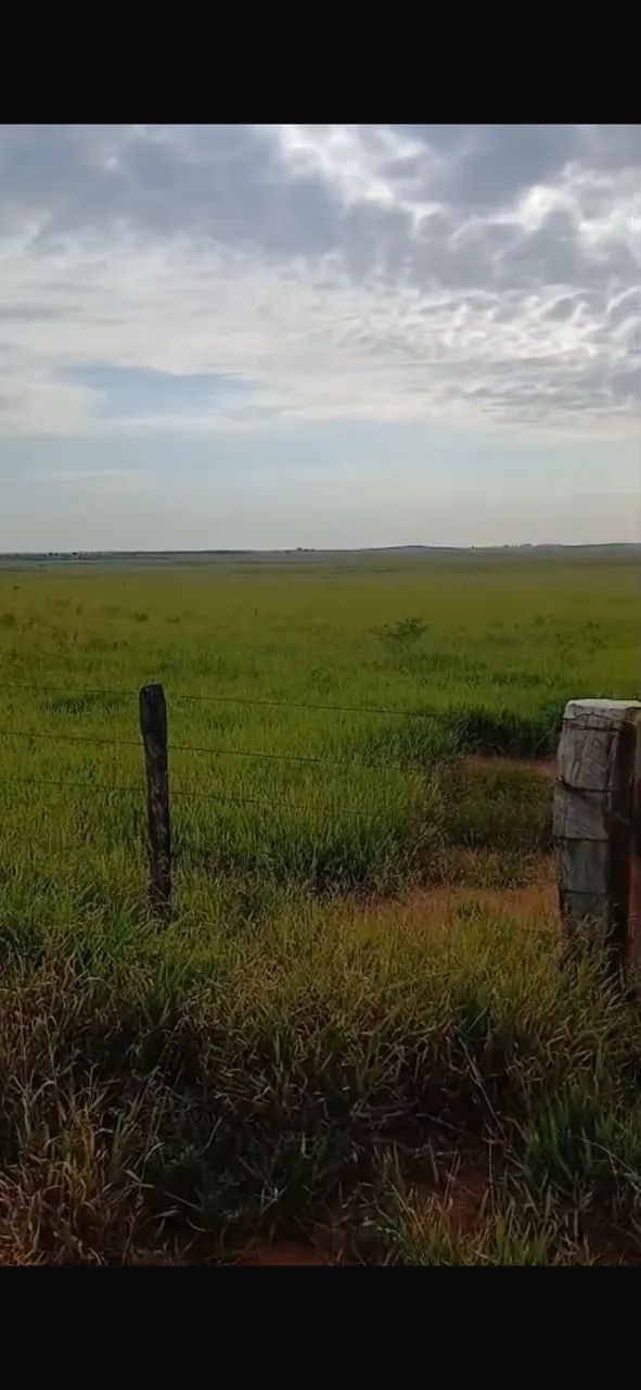 Fazenda imperdível no sul do MS 