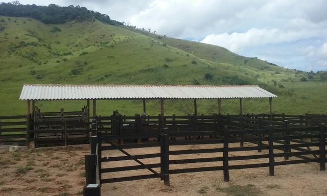250 hectares terra pronta