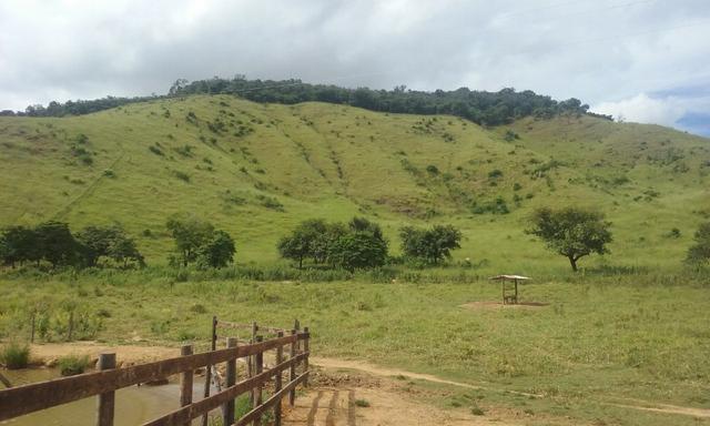 250 hectares terra pronta - Foto 11