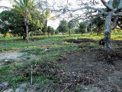 Terreno de 900 mil m2 em Porto Seguro - Foto 5