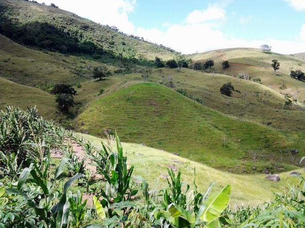 Fazenda em Iguai/BA com 1136 hectares - Foto 8