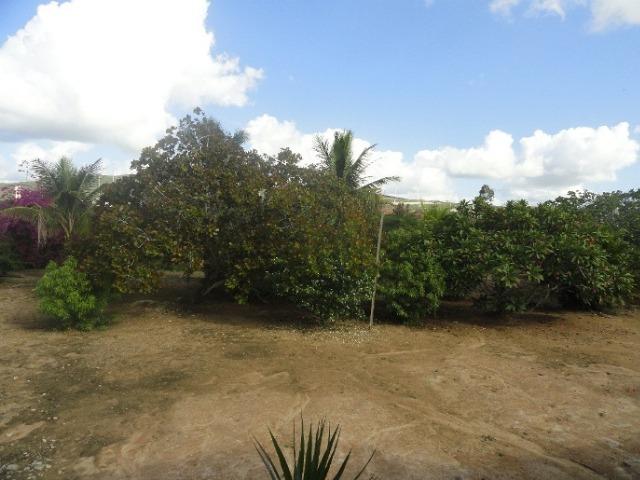 Chácara em Gravatá-PE com terreno de 2.000 m² - Ref. 274 - Foto 19