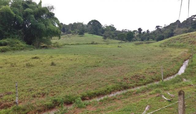 Fazenda 240 has em Tancredo Neves/BA - Foto 2