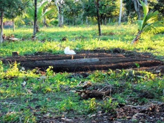Terreno de 900 mil m2 em Porto Seguro - Foto 6