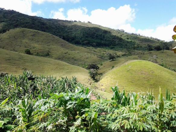 Fazenda em Iguai/BA com 1136 hectares - Foto 6