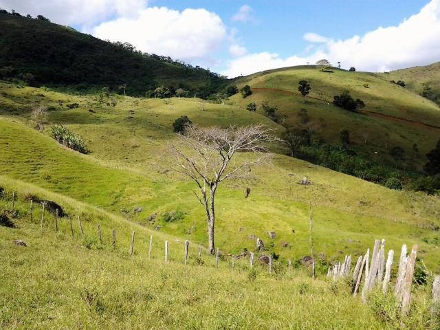 Fazenda em Iguai/BA com 1136 hectares - Foto 17