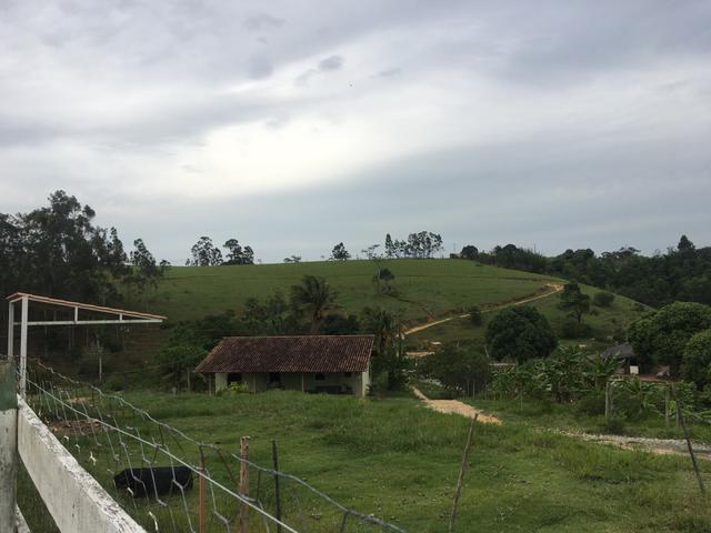 Sítio com 4 alqueires em Caxeta - Foto 6