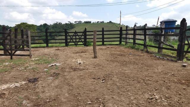 Fazenda 240 has em Tancredo Neves/BA - Foto 14