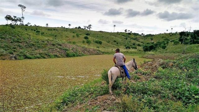 Fazenda Potiraguá/BA 678 hectares - Foto 3