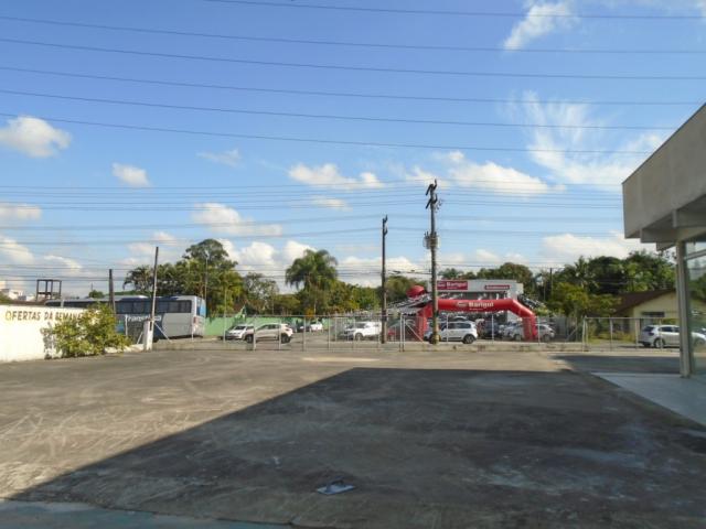 Terreno para alugar em Santo antonio, Joinville cod:08135.002 - Foto 9