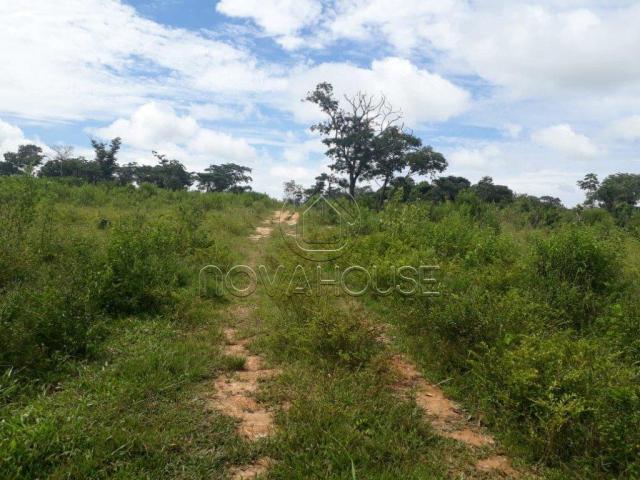Fazenda rural à venda, centro, itaguaia - . - Foto 4