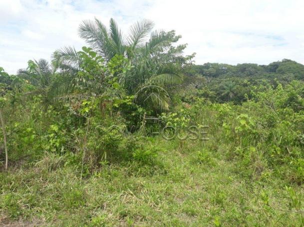 Fazenda rural à venda, centro, itaguaia - . - Foto 9