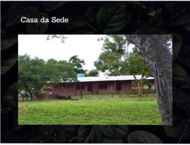 Fazenda na região de Formosa do Rio Preto-BA - Foto 6