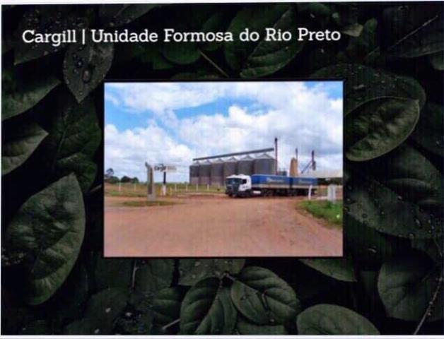 Fazenda na região de Formosa do Rio Preto-BA - Foto 5