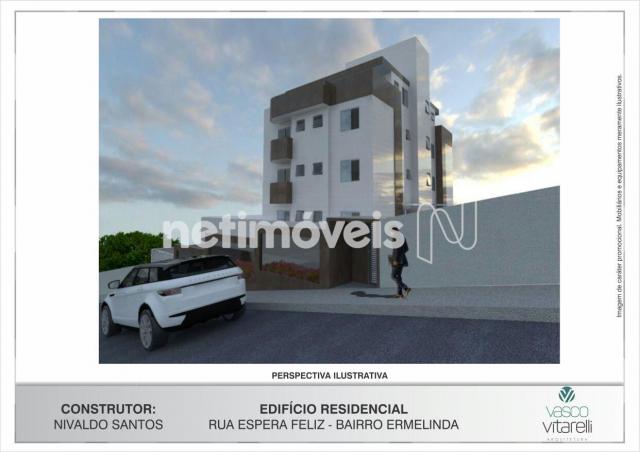 Apartamento à venda com 2 dormitórios em Vila ermelinda, Belo horizonte cod:769616 - Foto 2