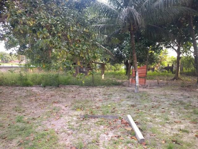 Terreno - Foto 13