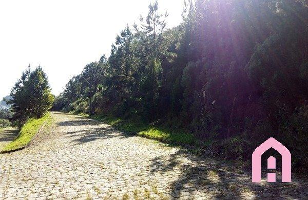 Terreno à venda em São luiz, Caxias do sul cod:2431