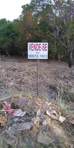 Lote