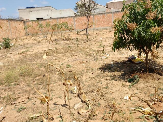 Vendo um terreno - Foto 4