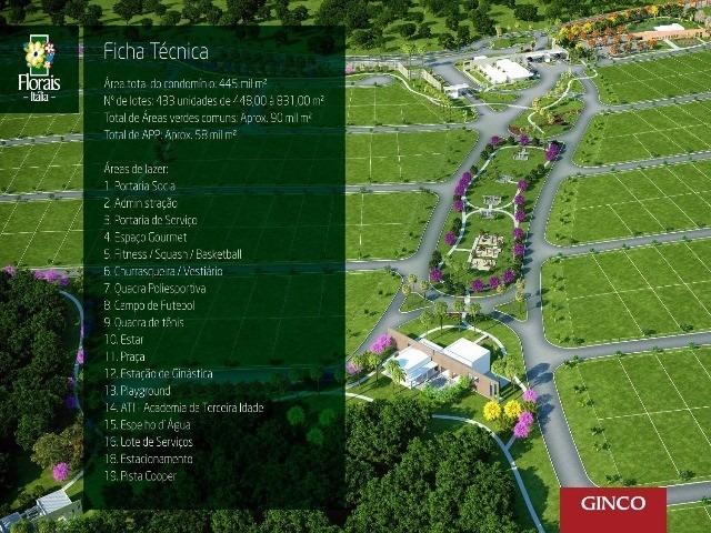 Florais Itália Ginco - Foto 6