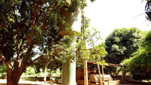 Chácara 20.000m2 incra 9 3km de chão casa simples pomar pode escriturar - Foto 12