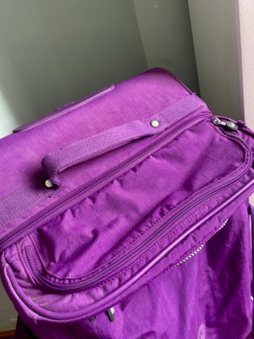 Mala roxa | +192 anúncios na OLX Brasil