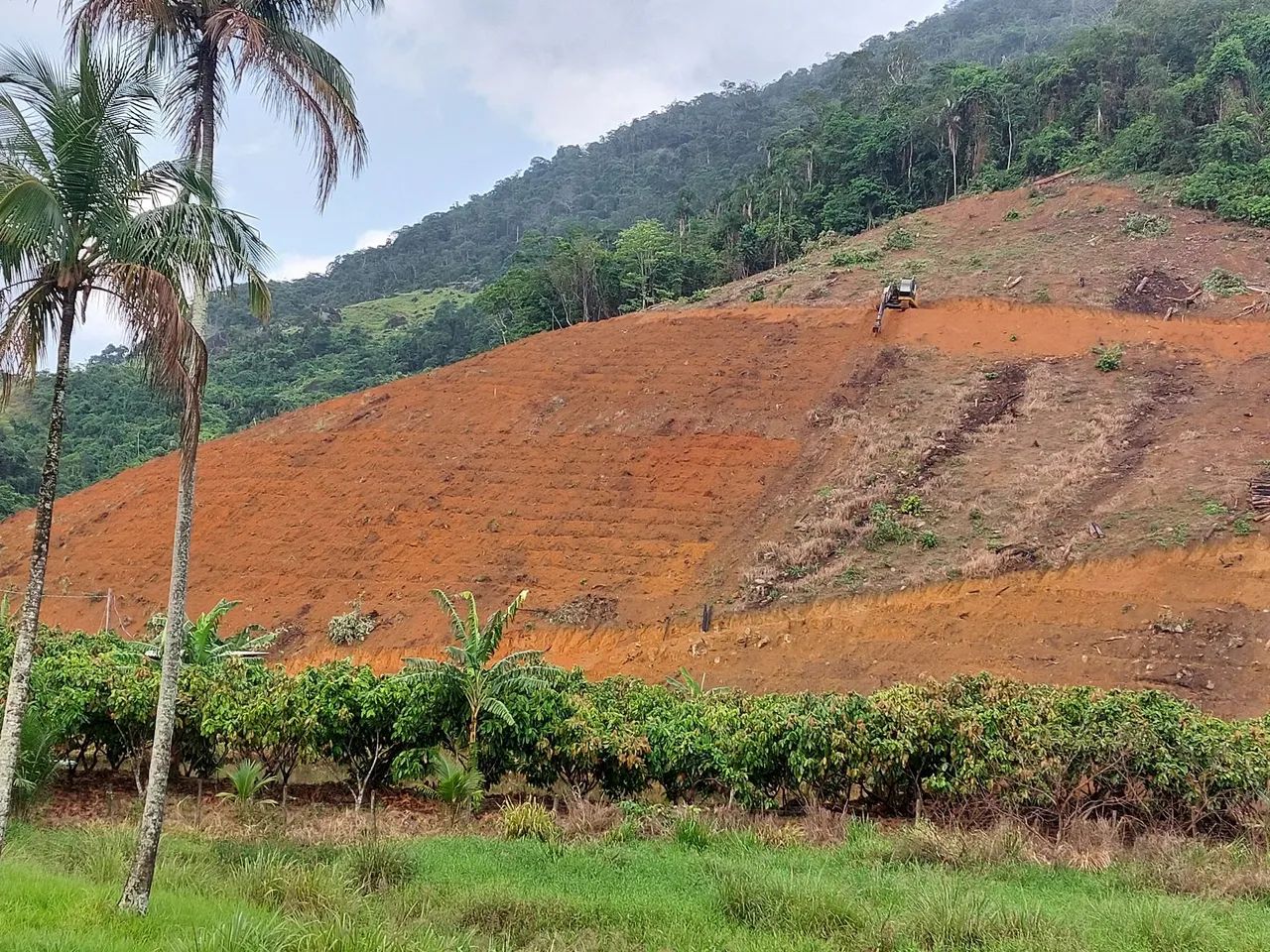 Escavadeira  - Foto 4