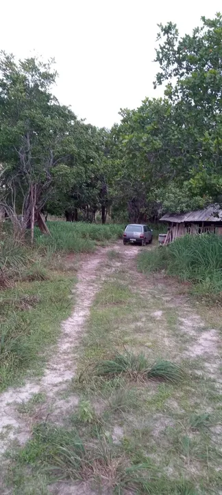 Fazenda 205,equitares, em Bom jesus Tocantins, BR 235 na CBPO