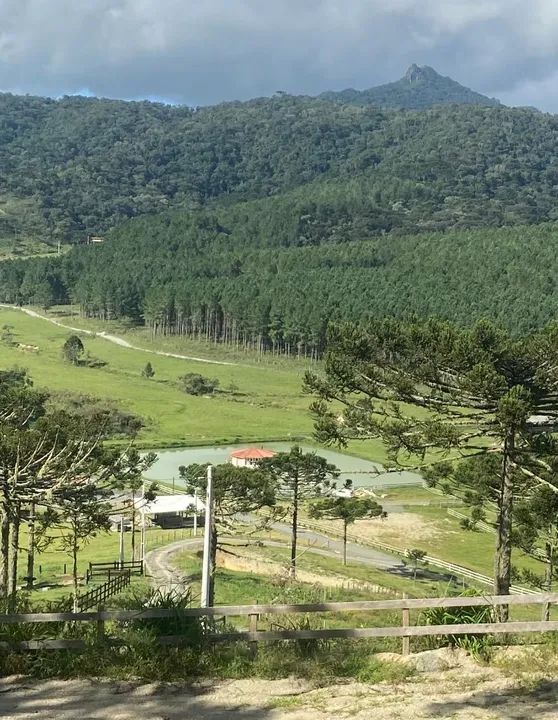 Sítio dos sonhos na serra catarinense 