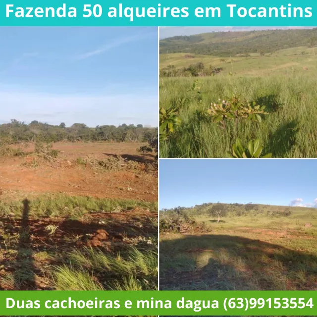 Linda Fazenda em Tocantins, Porto Nacional, Agua, Rio, Corgo, Lago, Represa, Casa, Gado