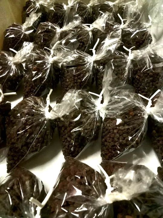 1Kg PIMENTA DO REINO ORGÂNICA EM GRÃOS (Produção Própria) - Foto 4