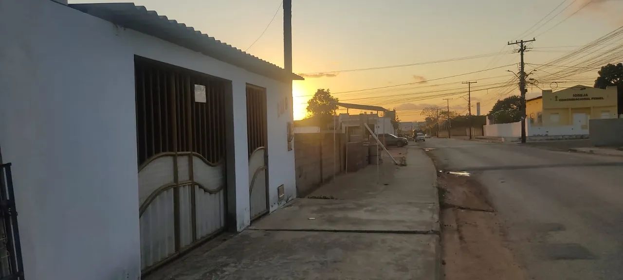 foto - Feira de Santana - Papagaio