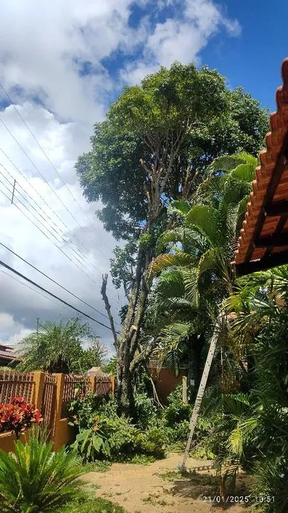 PODAS ,LIMPEZA EM LOTES ,RECOLHEMOS RESTOS DE PODAS  - Foto 2