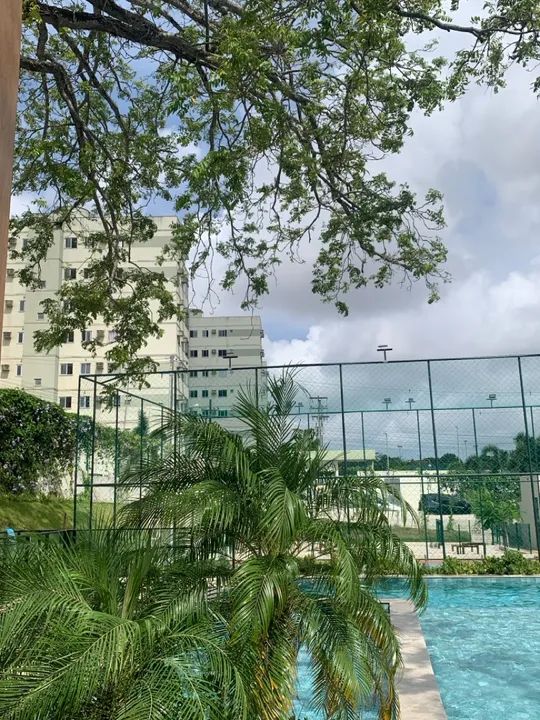 Mirante do frio - Apartamento com vista espetacular para a Mata do frio! - Foto 12