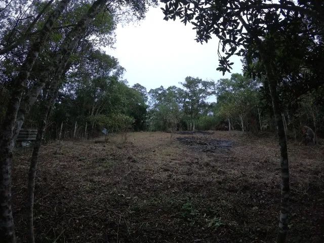Terreno Caucaia do Alto, Cotia com 1286m² (Com documentação) - Foto 2
