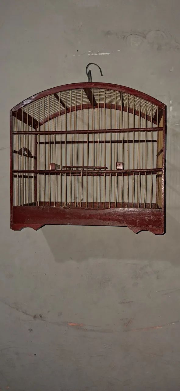Vendo gaiola toda perfeita