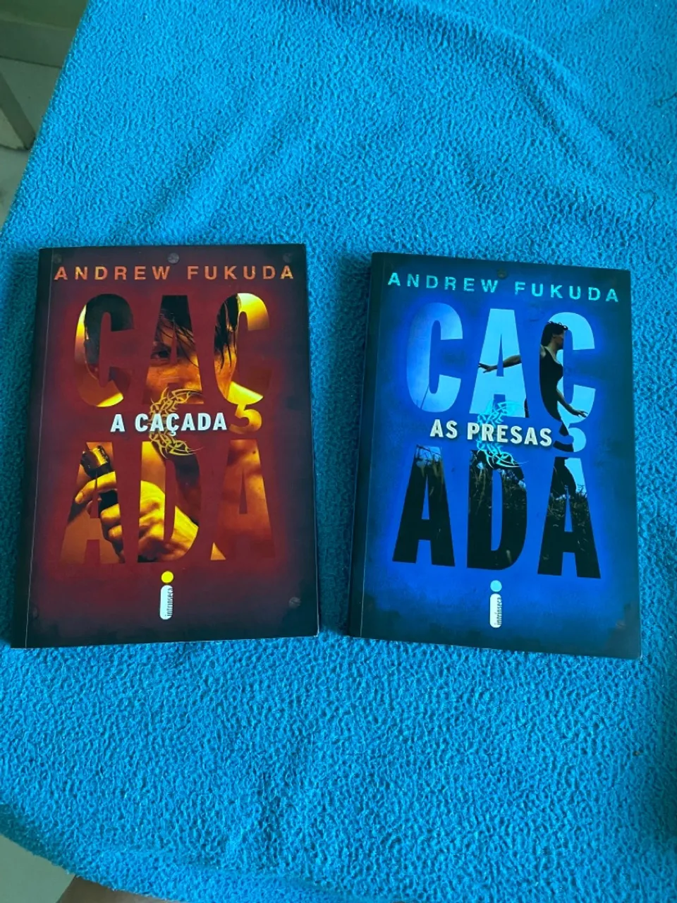 Livros: Caçada - Andrew Fukuda