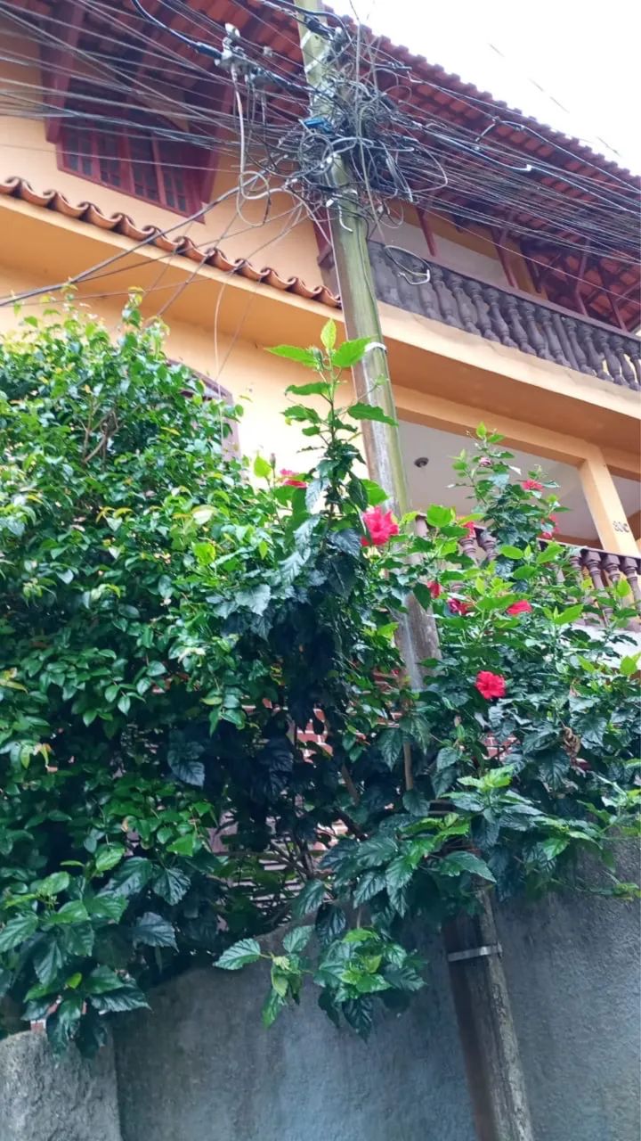 Foto - Petrópolis - Itamarati
