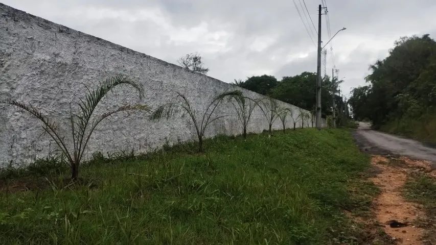 Alugo terreno de 50m x 100m, Rua asfaltada no Tarumã rua do Crematório - Foto 3