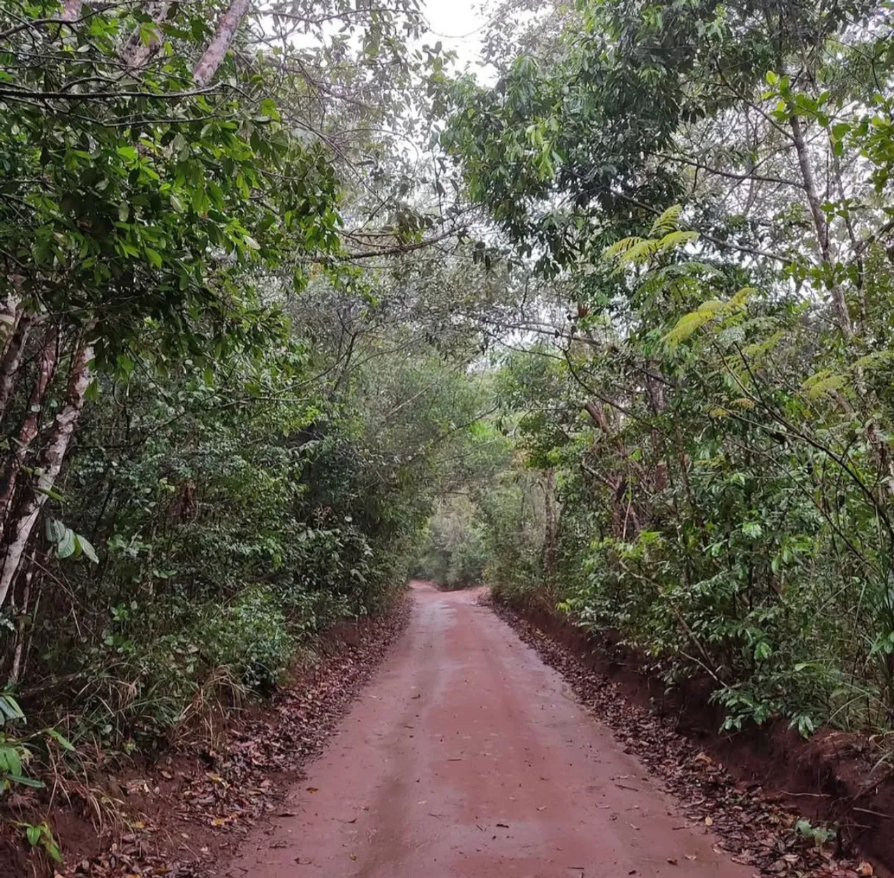 Terreno Lençóis 1000m2 - 95 mil