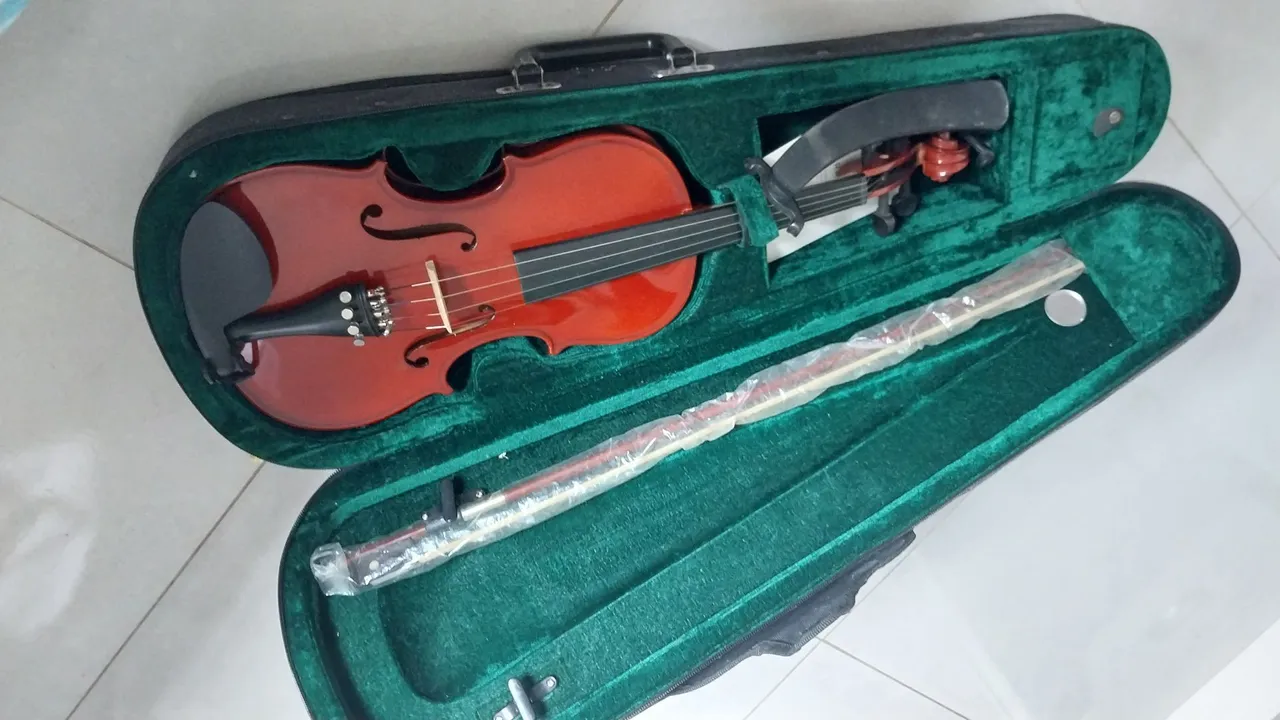 Violino Michael VNM30