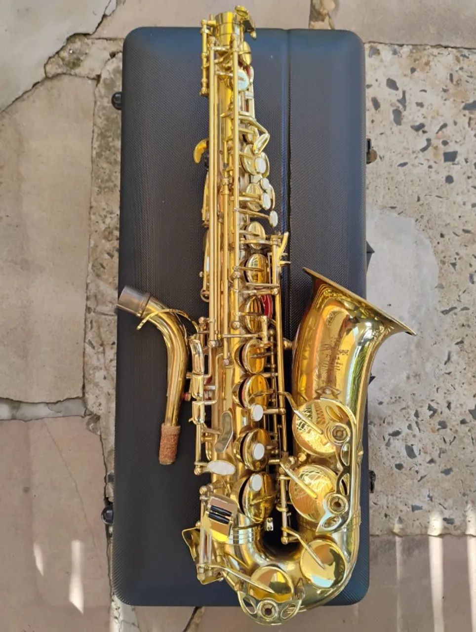 Sax Alto Stagg 77-SA MI BEMOL